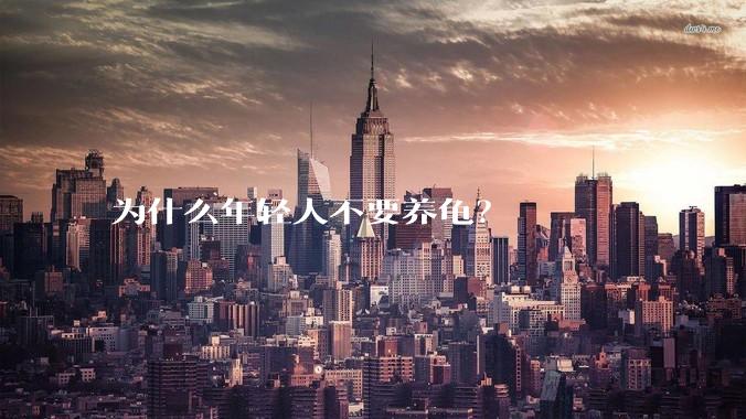 为什么年轻人不要养龟？