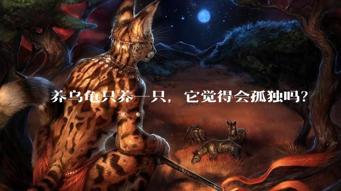 养乌龟只养一只，它觉得会孤独吗？